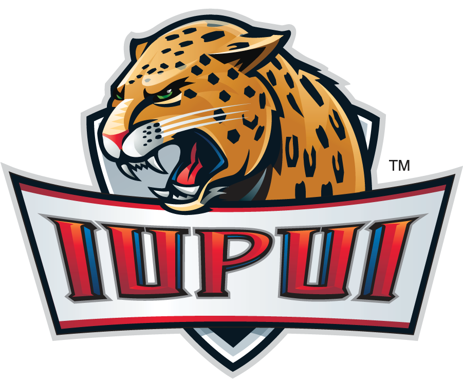 IUPUI Jaguars 2007-2017 Alternate Logo v2 t shirts iron on transfers